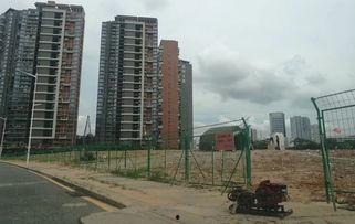 深圳龙华网友最新爆料,揭秘某热门小区最新动态及争议事件