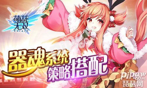 吉首超级萌天下最新爆料,萌宠集结，萌动全城！