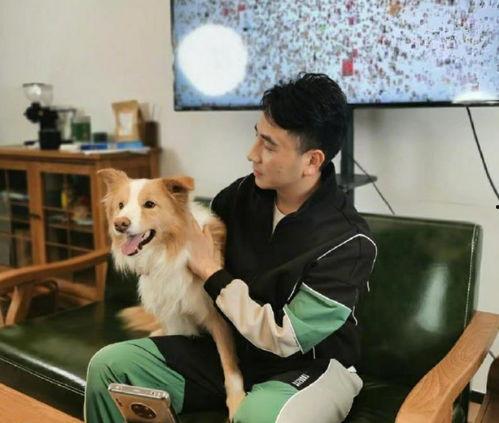 朱小贞哥哥最新爆料,揭秘朱小贞真实身份与惊人内幕！