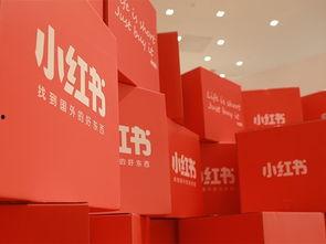 宜兴小红书爆料事件最新,揭秘背后真相与网络舆论风暴