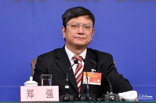 郑强最新爆料新闻视频,揭秘事件背后惊人真相