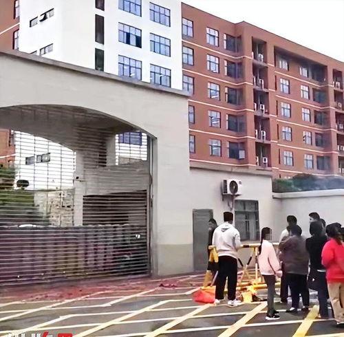 四川学校爆料事件最新,揭开校园安全与管理的隐秘面纱
